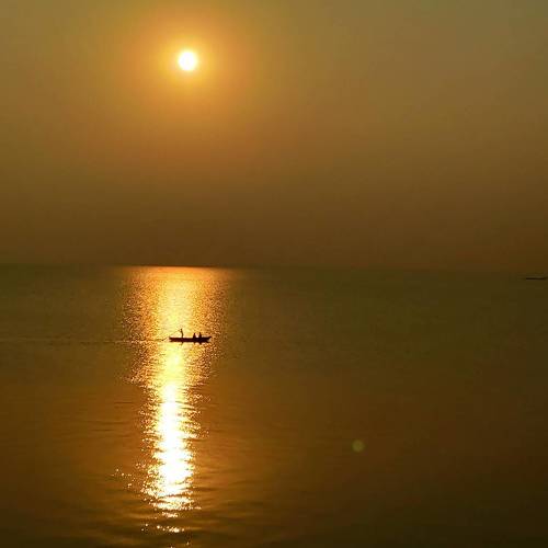 Photo #5290578