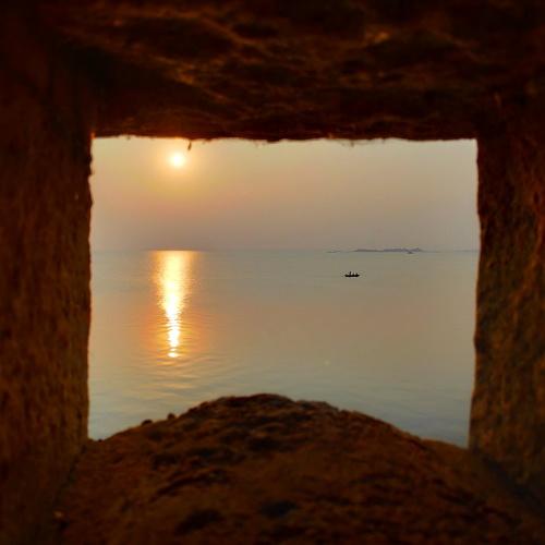 Photo #5290579
