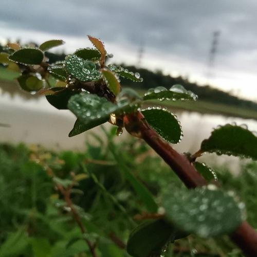 Photo #5290758