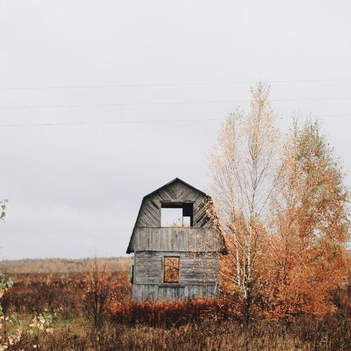 Photo #5290804