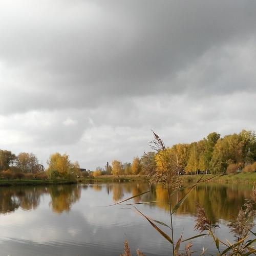 Photo #5291121