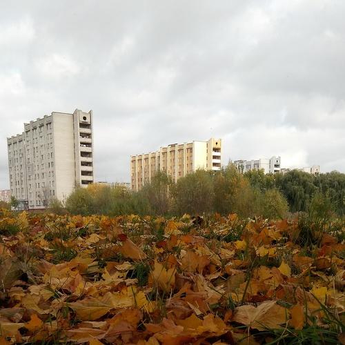 Photo #5291140