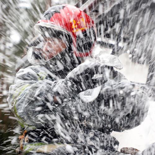 Photo #5291186