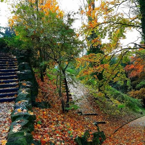 Photo #5291429