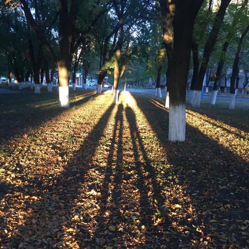 Photo #5291615
