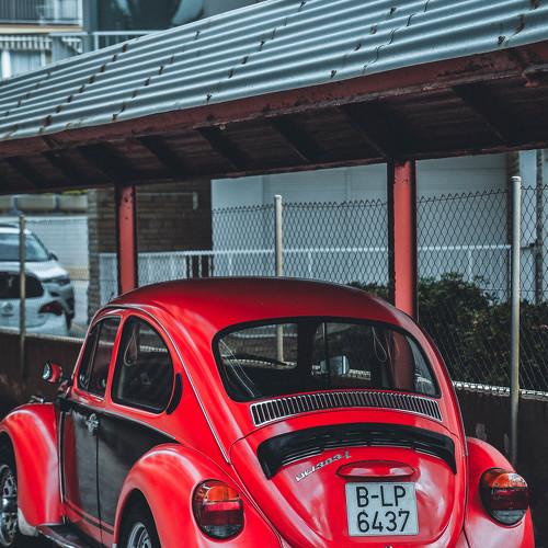 Photo #5291781