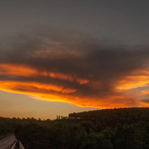 Photo #5292355