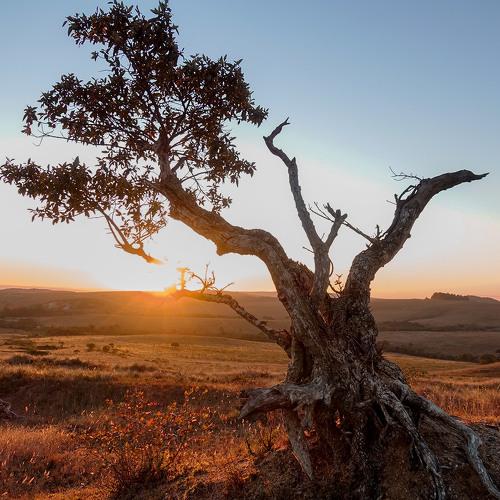 Photo #5292356