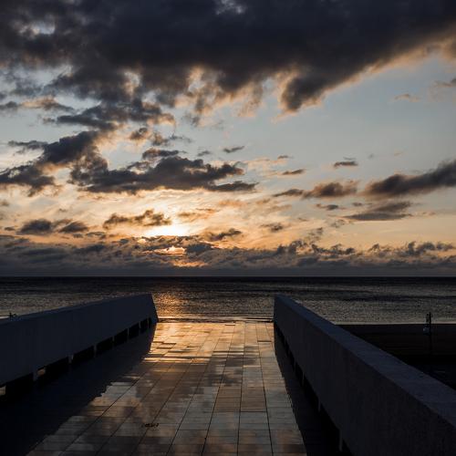Photo #5292499