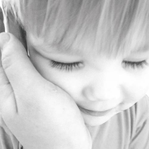 Photo #5292571