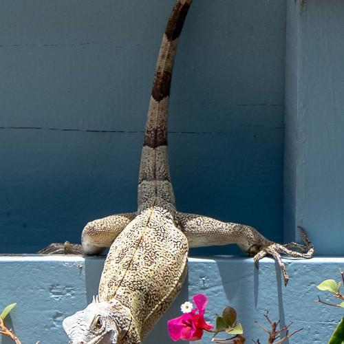 Photo #5292624