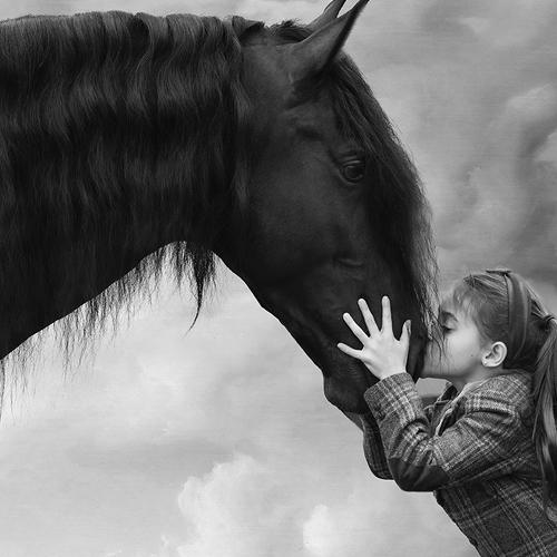 Horselove