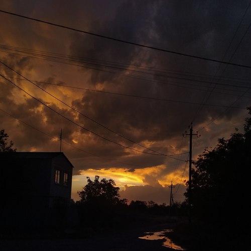 Photo #5293155