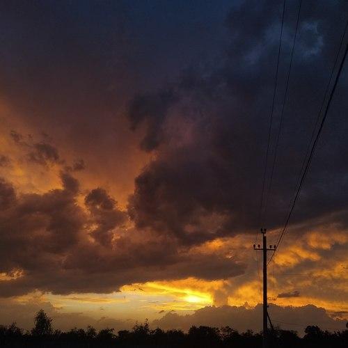 Photo #5293156