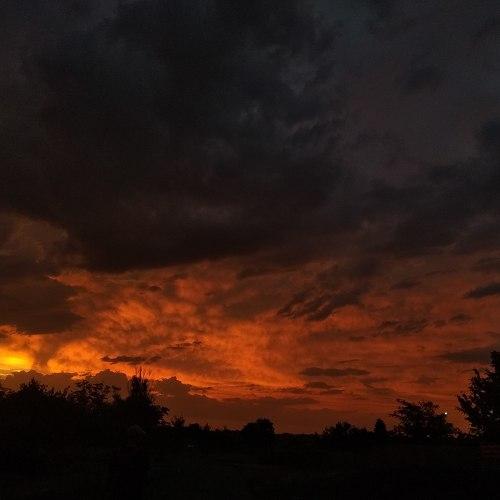 Photo #5293162