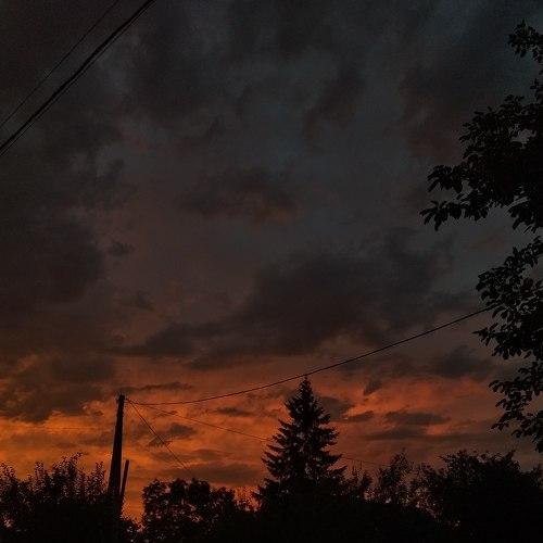Photo #5293166