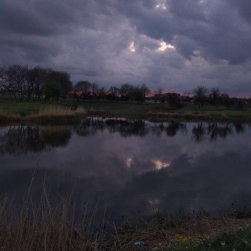Photo #5293228