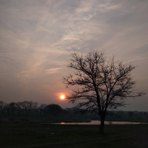 Photo #5293232