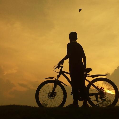 Photo #5293286