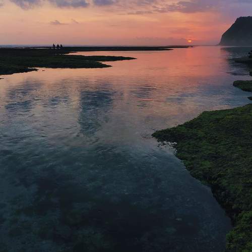 Photo #5293464