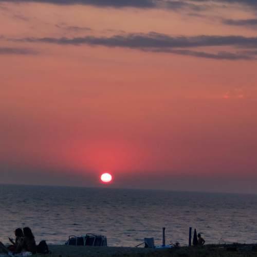 Photo #5293496