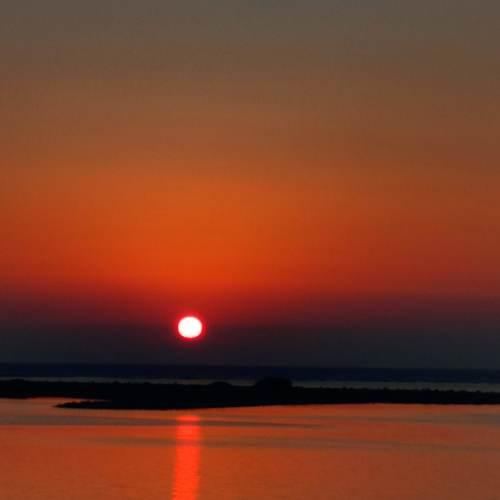 Photo #5293520