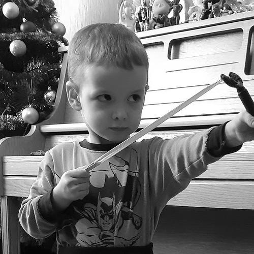 Photo #5293742