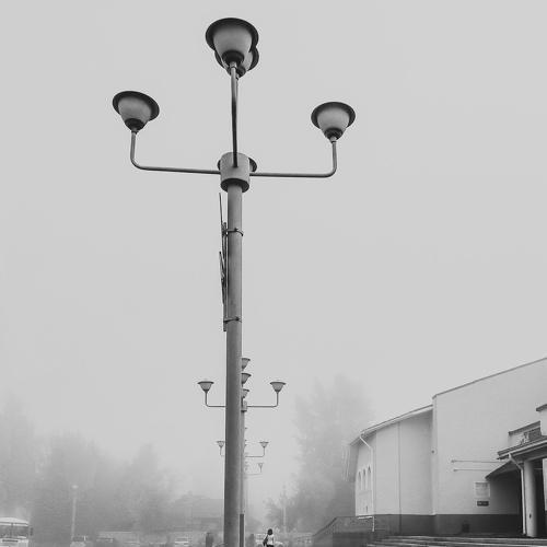 Photo #5293861