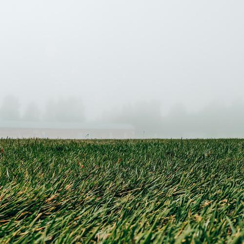 Photo #5293862