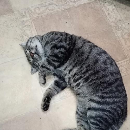 Photo #5294061