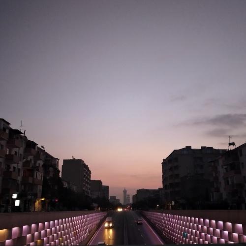 Photo #5294607