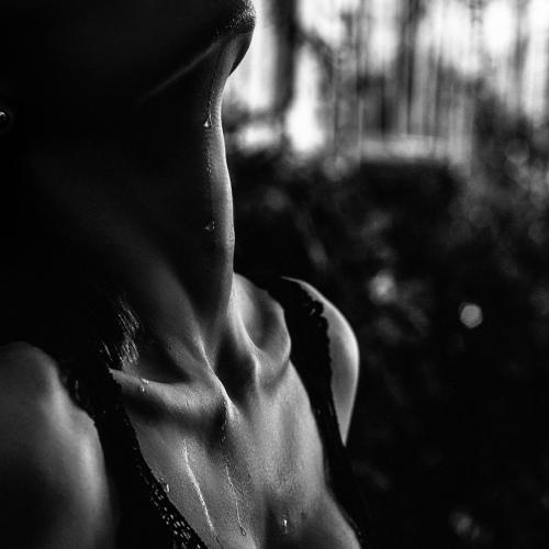 Photo #5294681