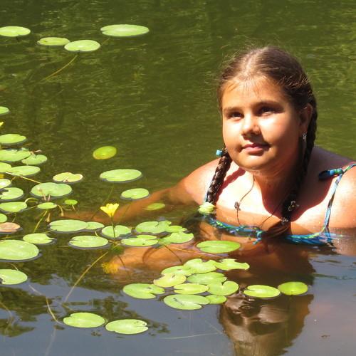 Photo #5294806
