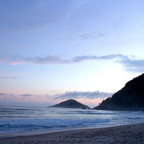 Photo #5295387