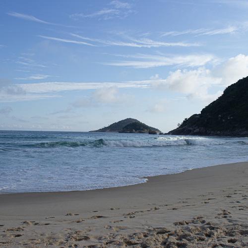 Photo #5295388