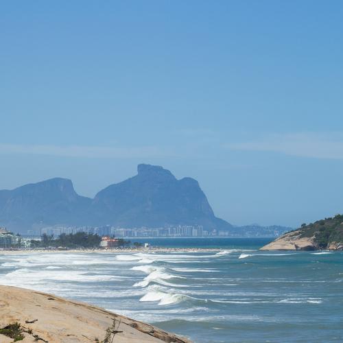 Photo #5295393