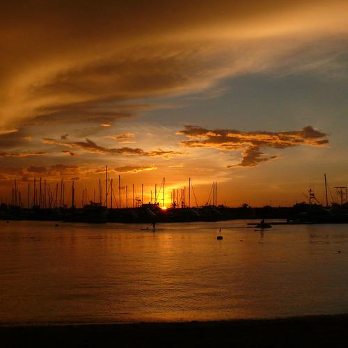 Photo #5295454