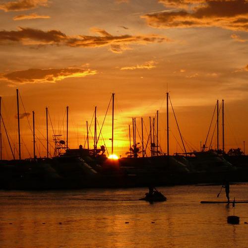 Photo #5295455