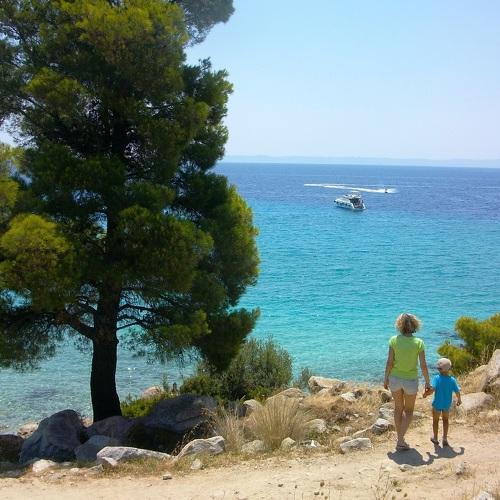 Photo #5295973