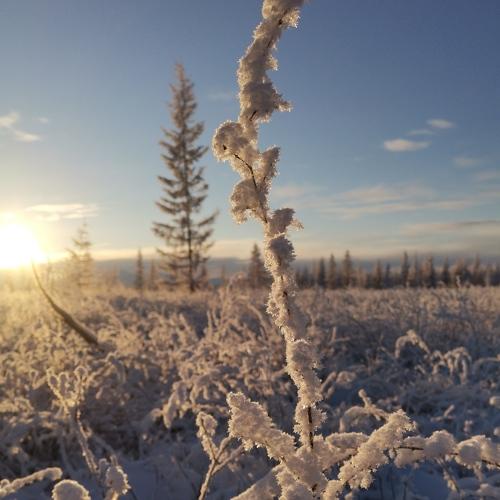 Photo #5296124