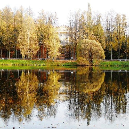 Photo #5296354