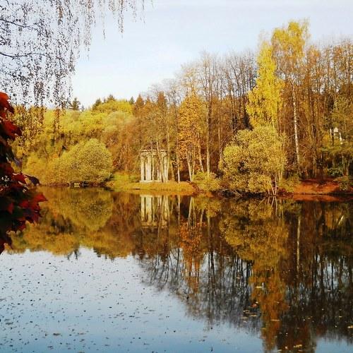 Photo #5296357