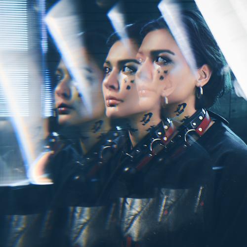 Photo #5296372