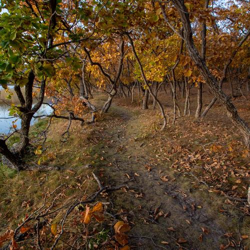 Photo #5296385