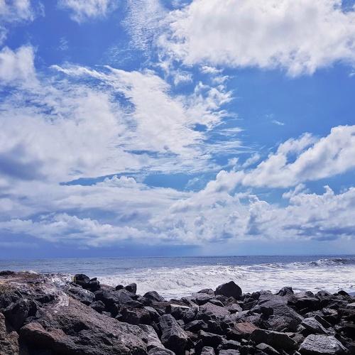 Photo #5296477