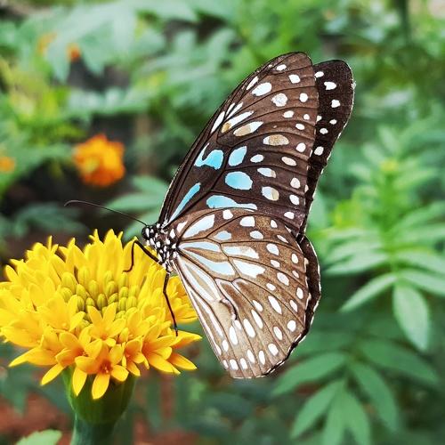 Photo #5296528