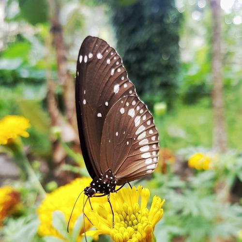 Photo #5296532