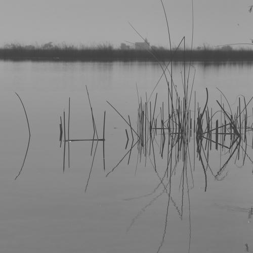 Photo #5296658