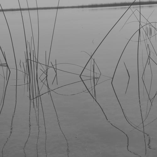 Photo #5296675