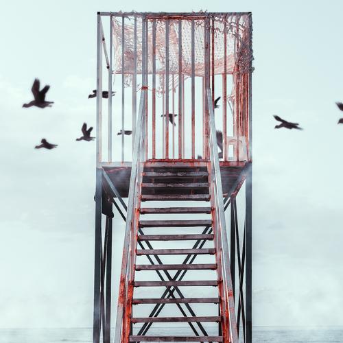 Photo #5296866